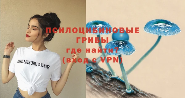 apvp Алексин