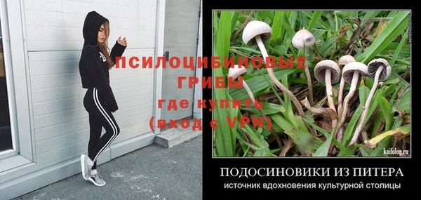 а пвп мука Алзамай