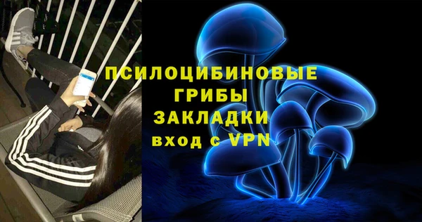 амф Алексеевка