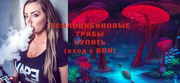 амф Алексеевка
